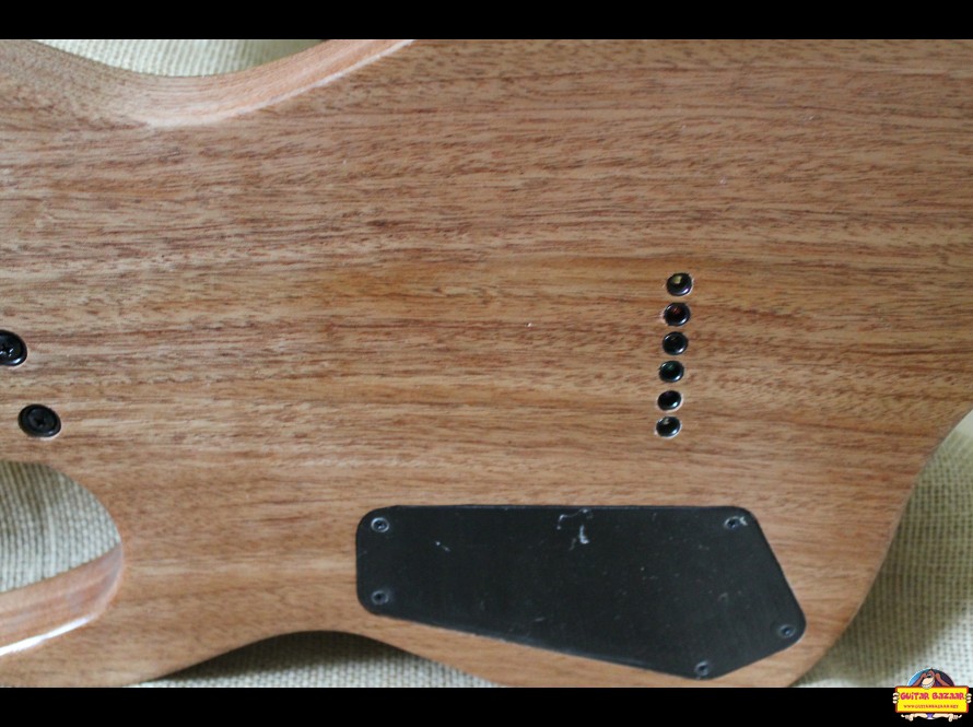 QA Guitars Iyr Bocote