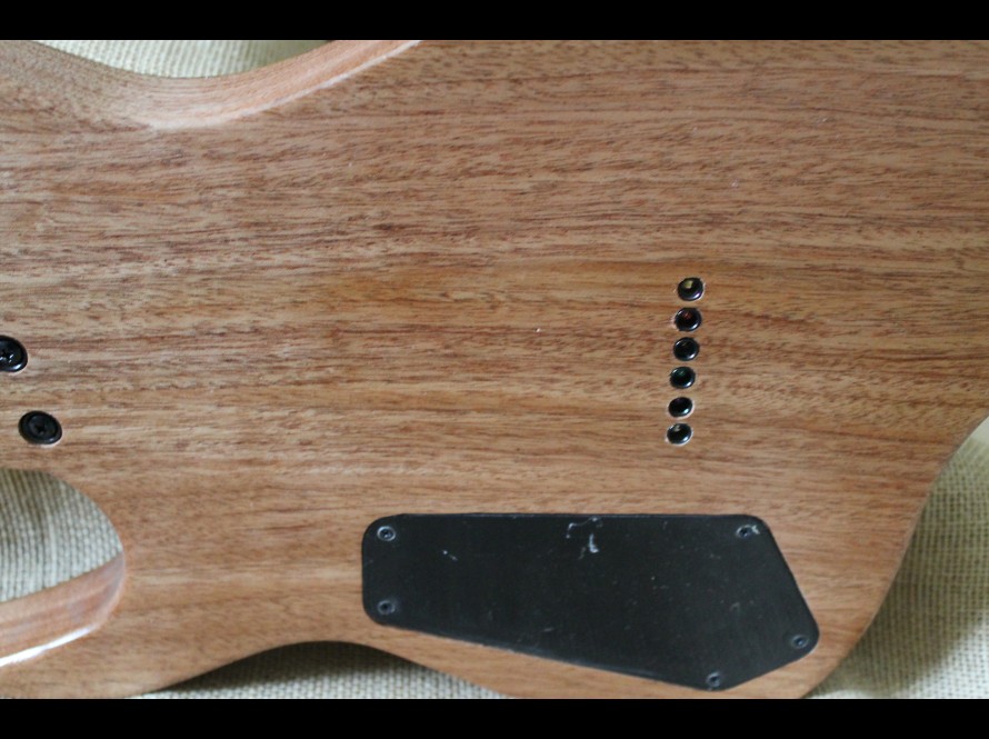 QA Guitars Iyr Koa